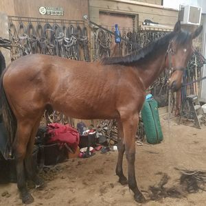 Meet your Posher, Jackie